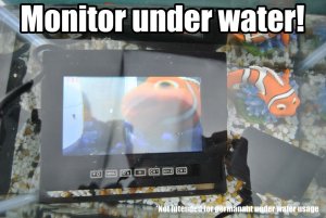 IP68 Waterproof / Dustproof 7" Monitor for Reverse Cameras | MON705W
